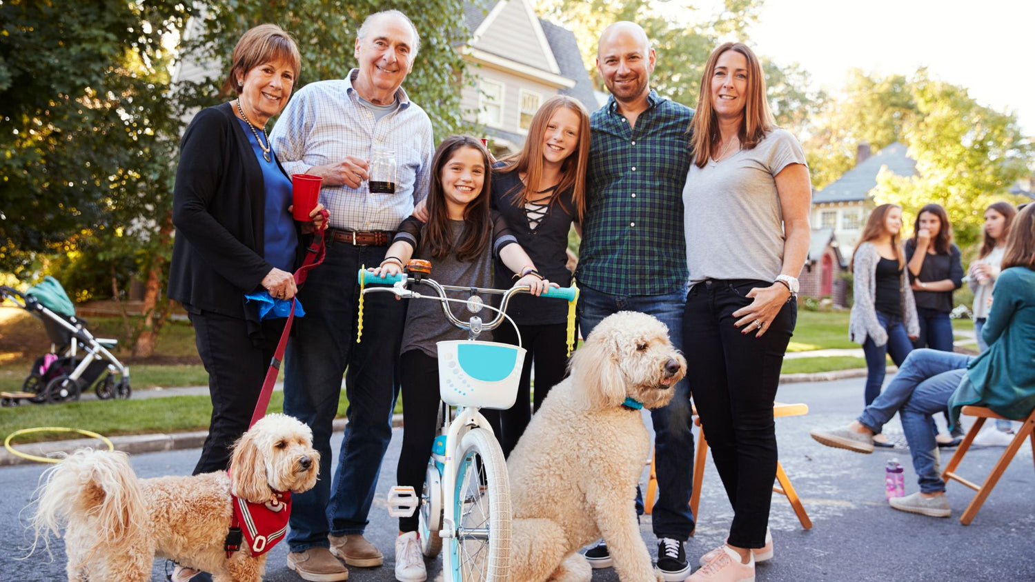 What's the best way to socialise my dog with other pets and people?