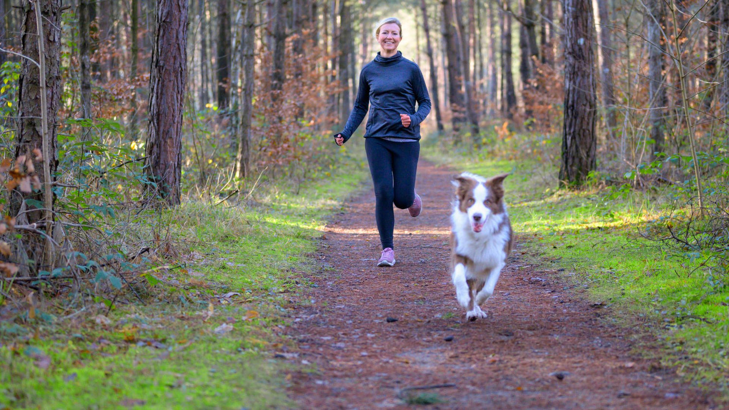 How much exercise does my dog need daily?