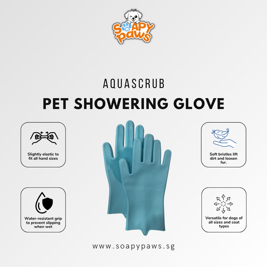 Grooming Glove