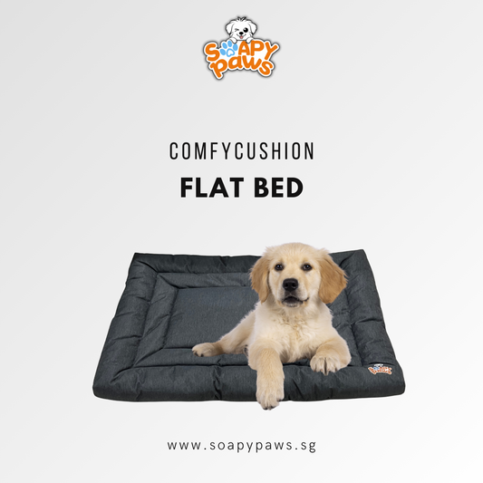 Normal Dog Bed