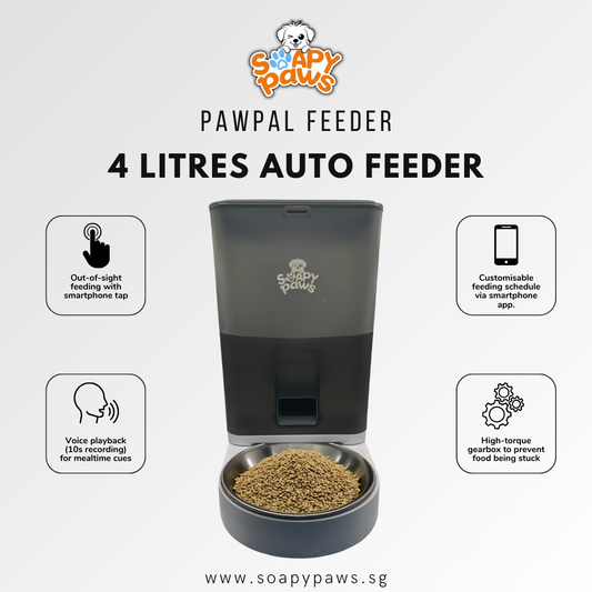 Auto Dog Feeder