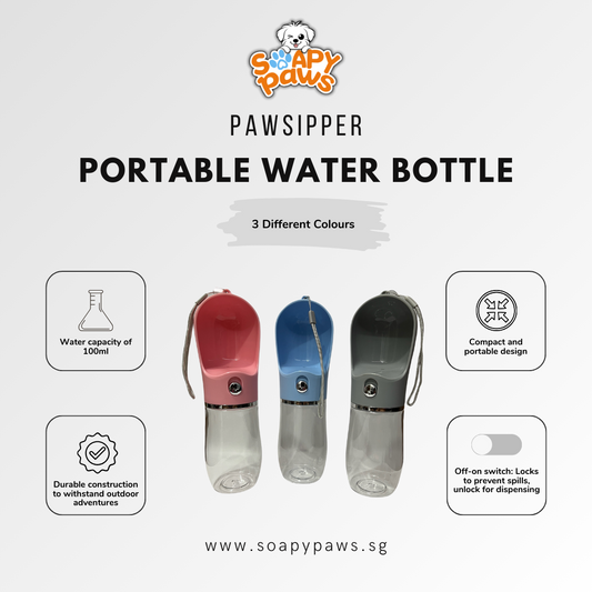 Portable water bottle