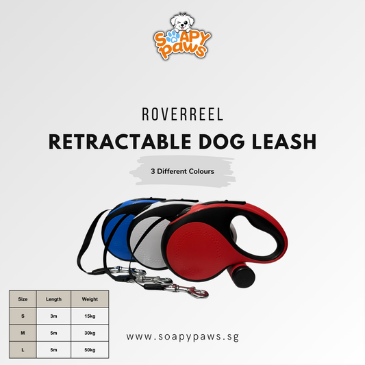 Dog Leash